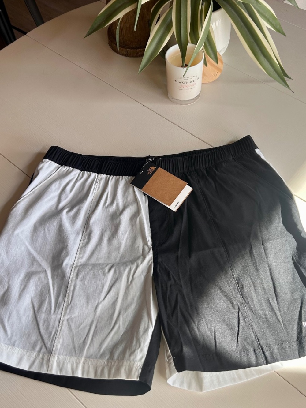Men’s North Face Relaxed Fit Shorts